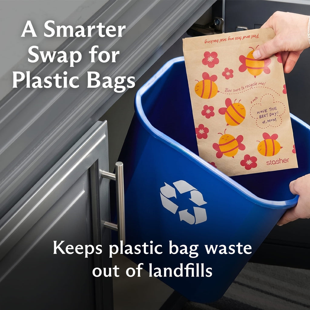 Recyclable Paper Bags 2-Pack 100ct Reusable Storage Bag