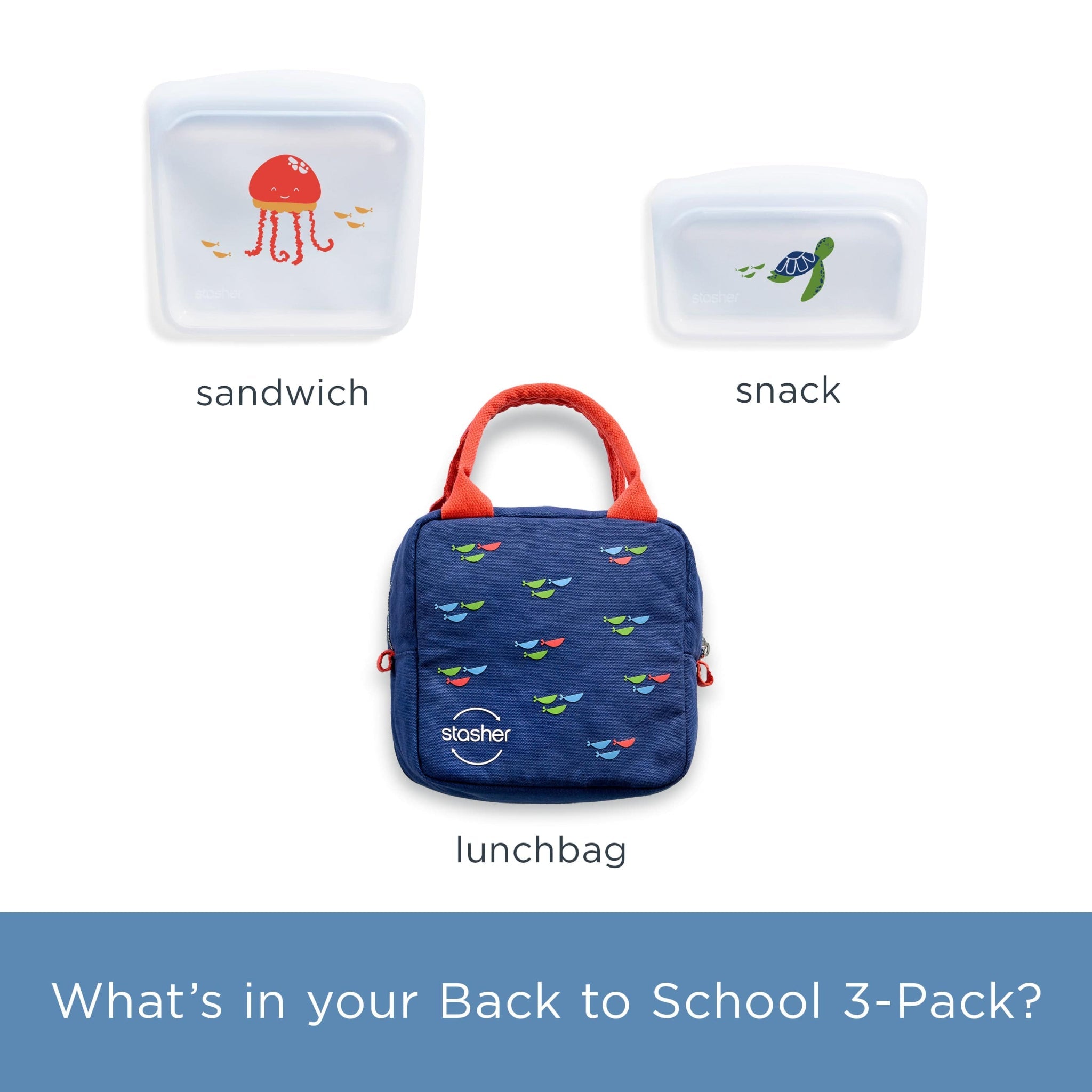 Back to School Lunch 3-Pack Reusable Storage Set