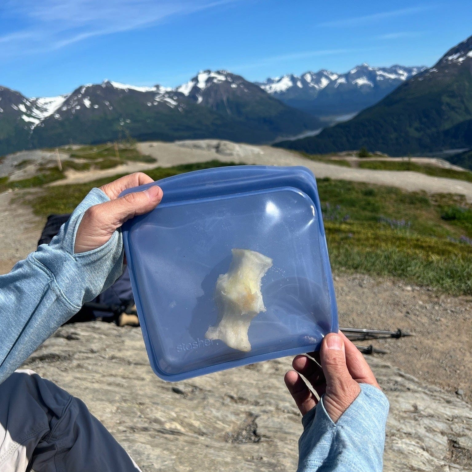 Sandwich Bag Reusable Storage Bag