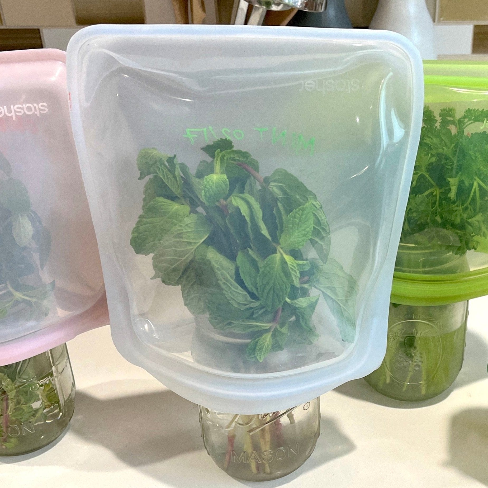 Half Gallon Bag Reusable Storage Bag