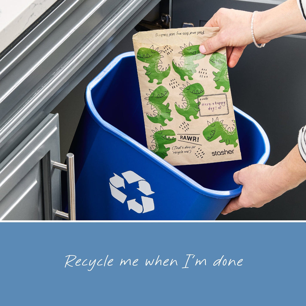 Recyclable Paper Bags 2-Pack 100ct Reusable Storage Bag