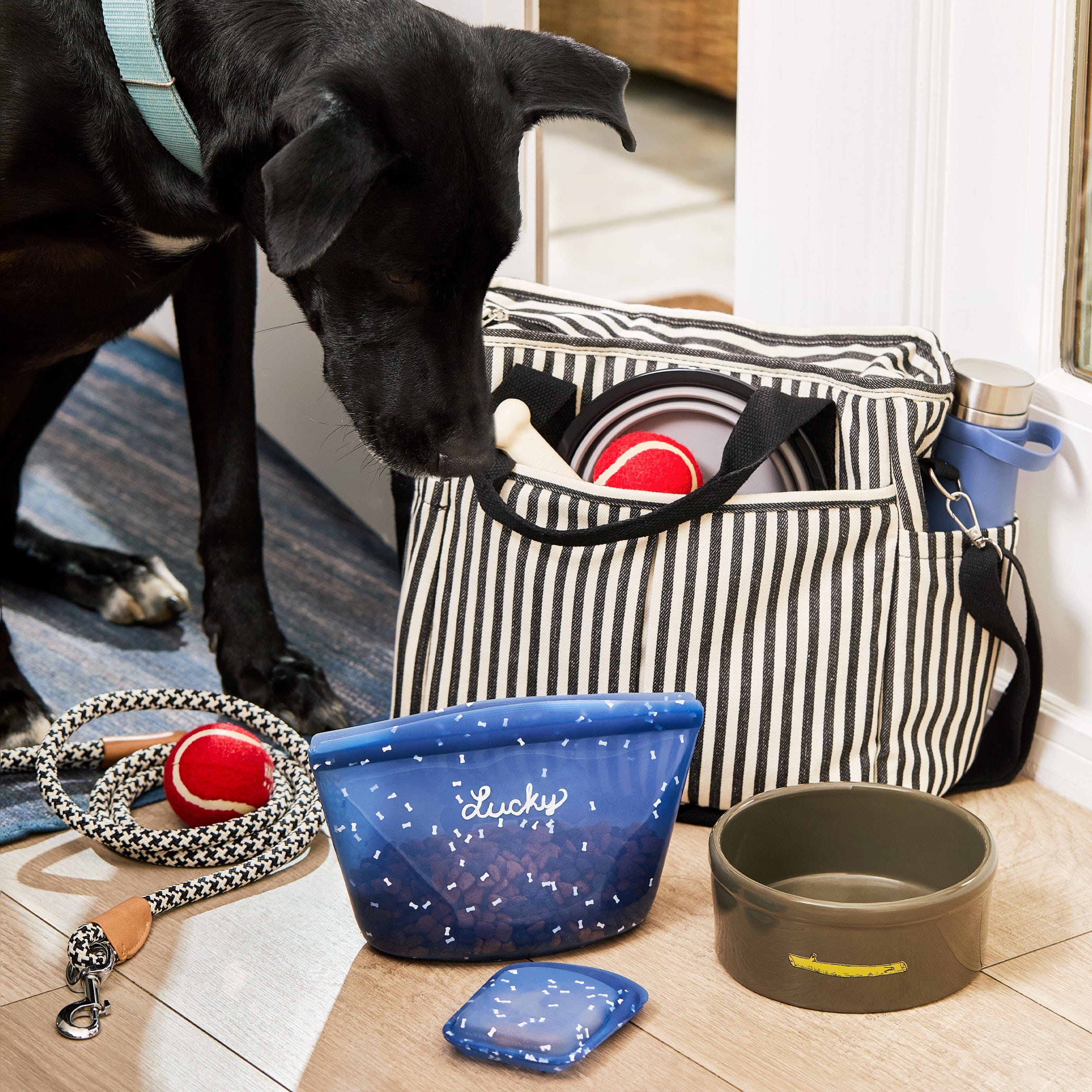 Pet Food Container Reusable Essential