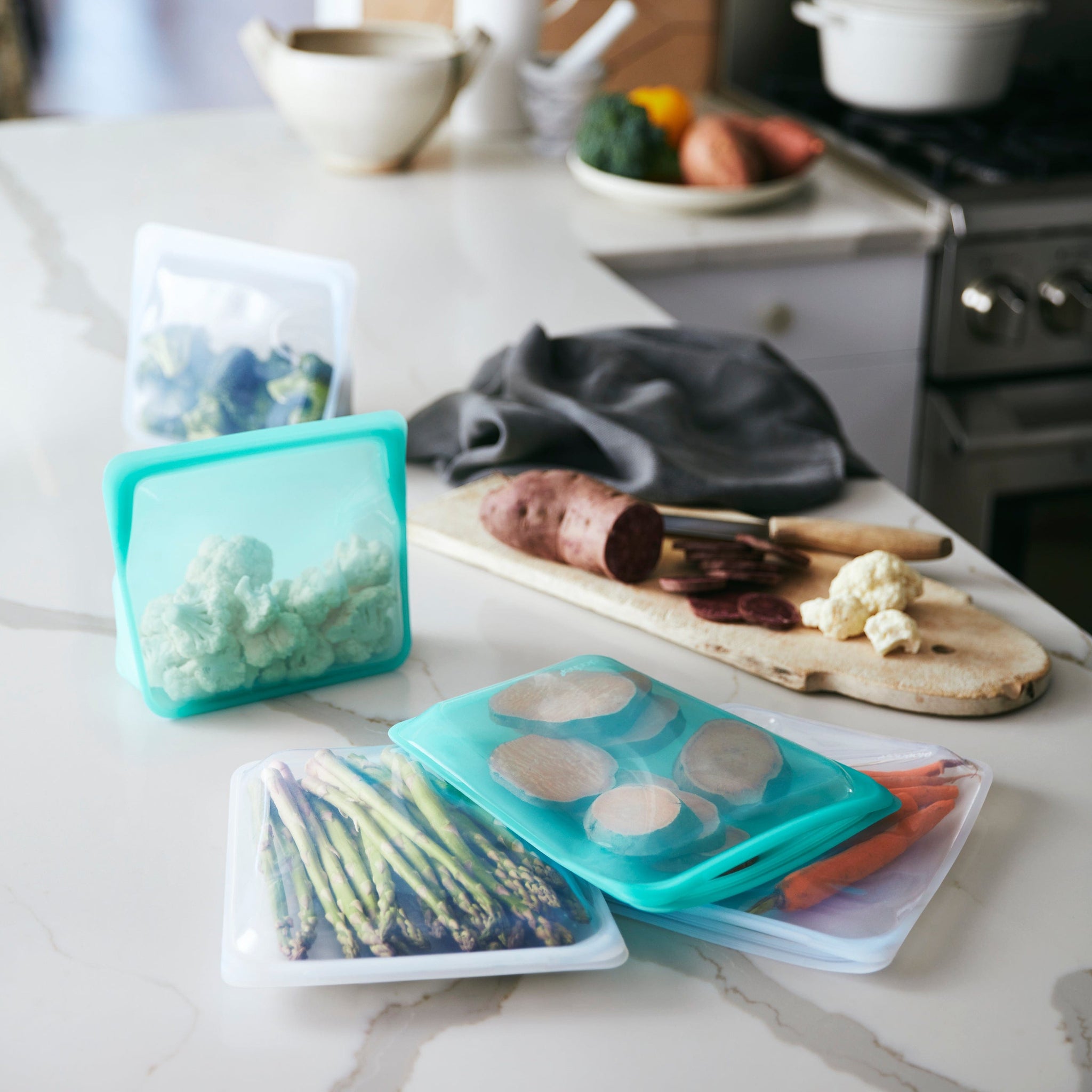Stand-Up Mid Bag Reusable Storage Bag