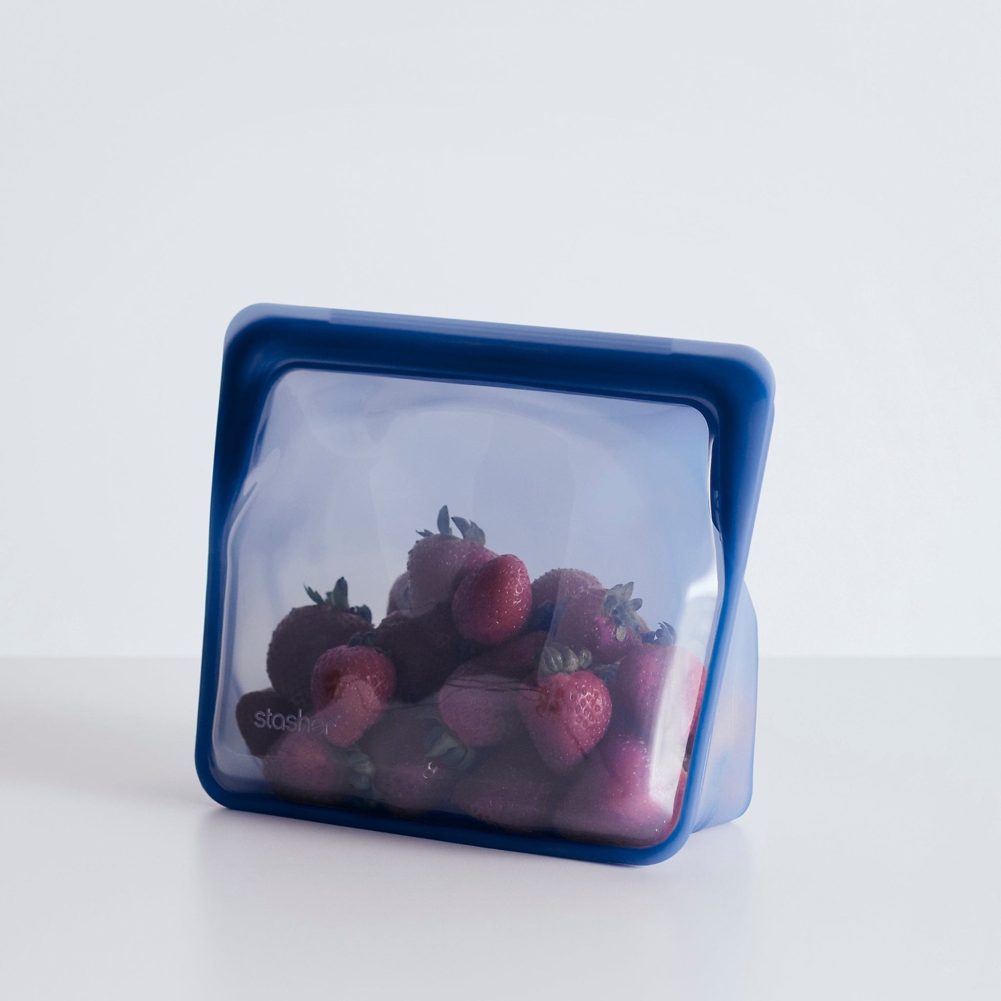 Stand-Up Mid Bag Reusable Storage Bag