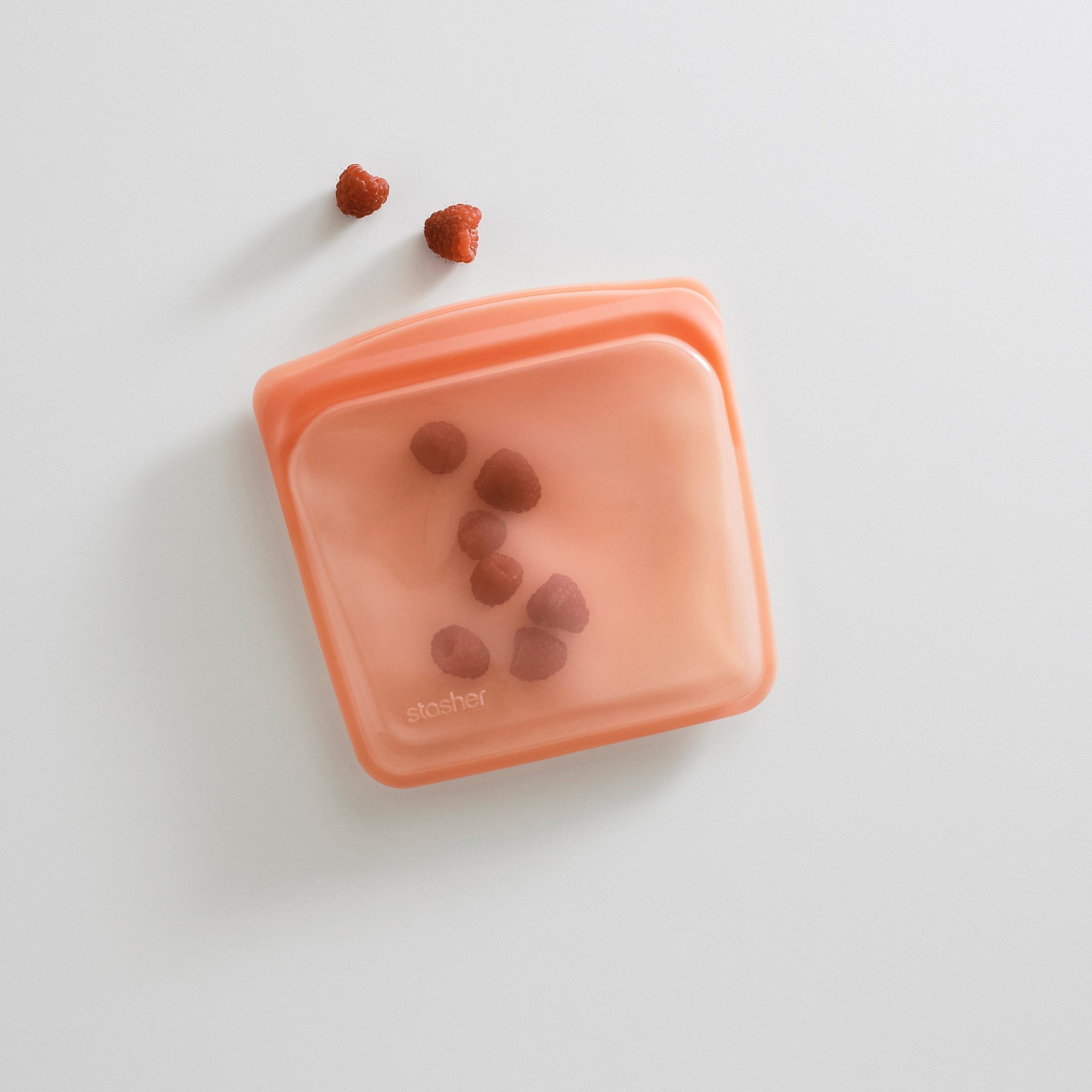 Sandwich Bag Reusable Storage Bag