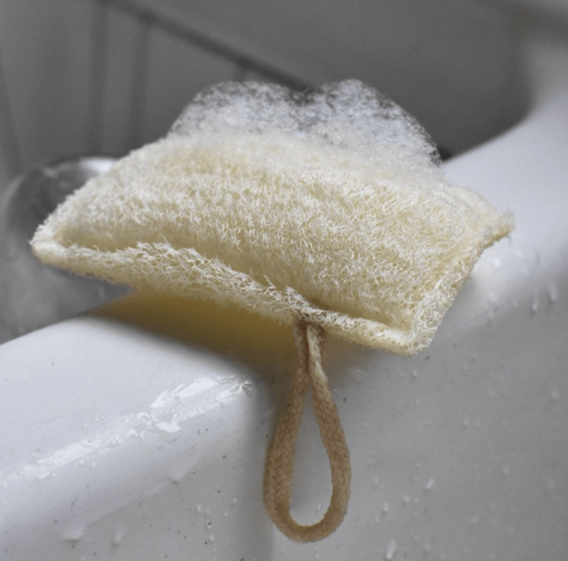 Kitchen Sponge 3-Pack Kitchen Accessory