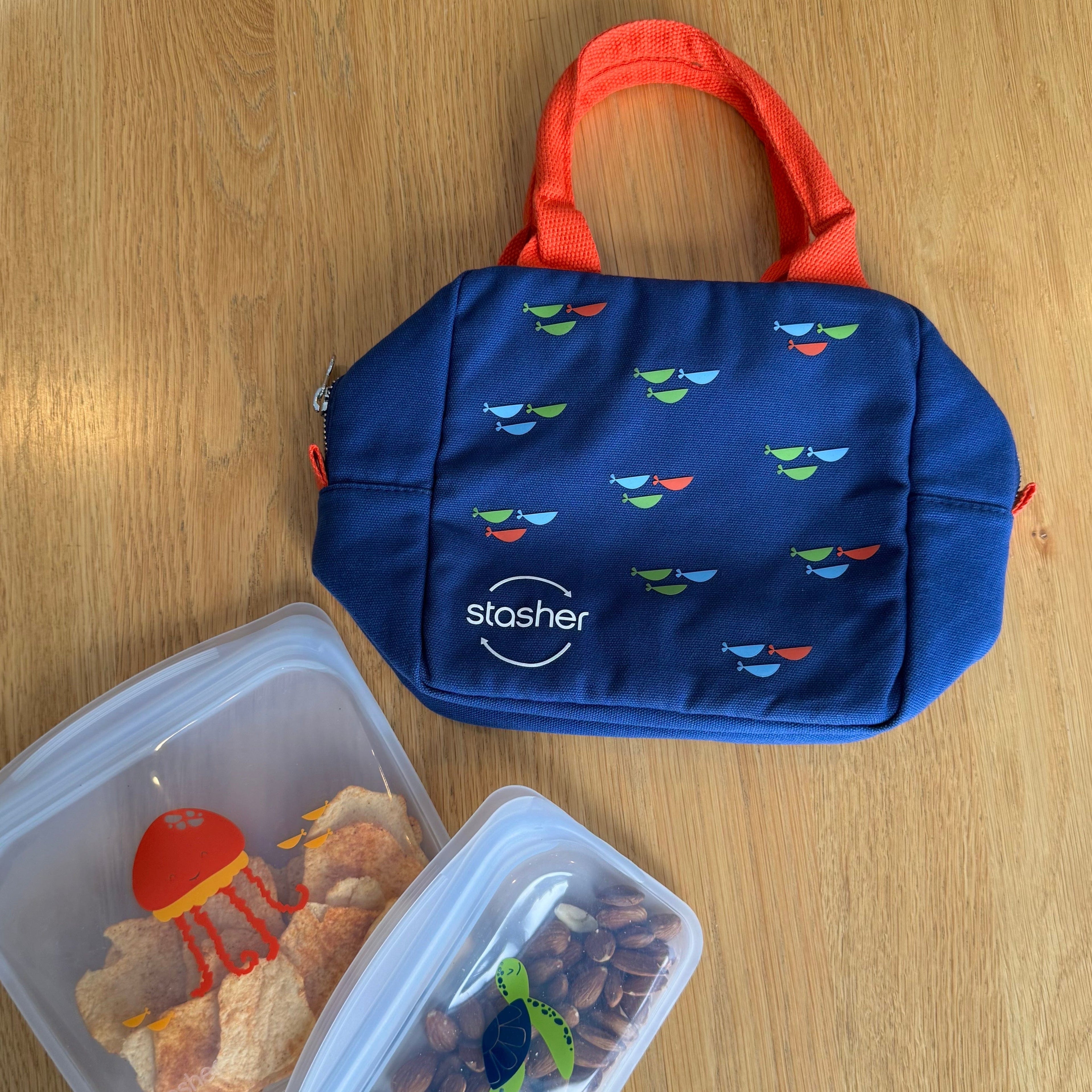 Back to School Lunch 3-Pack + Free Water Bottle Reusable Storage Set